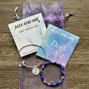 Alex and Ani limited addition Anchor art infusion set
